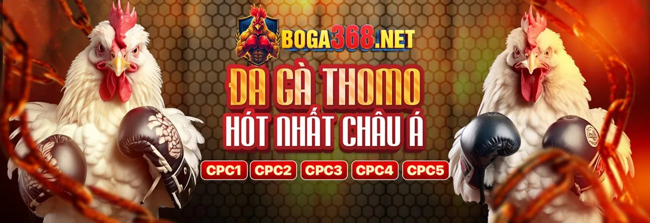 Dịch vụ chăm sóc khách hàng chuyên nghiệp